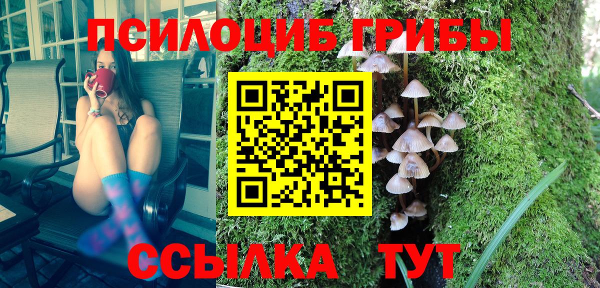 Псилоцибиновые грибы мухоморы  Вход с VPN  Димитровград 