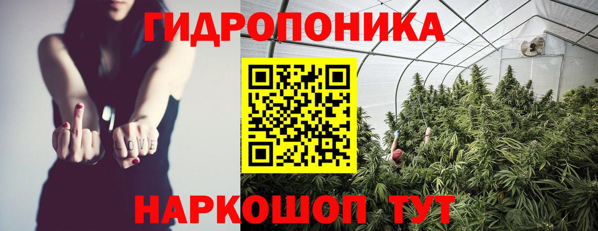 Бошки Шишки тримм Димитровград